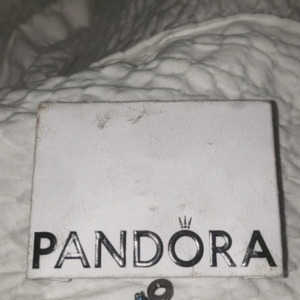 Pandora charm